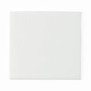 Medline Coloplast EasiCleanse No Rinse Washcloth