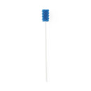 Medline DenTips Treated and Untreated Oral Swabs