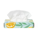Medline Standard Facial Tissues