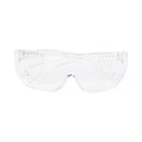 Medline Visitor Safety Glasses