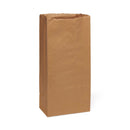 Medline Brown Paper Bags