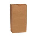 Medline Brown Paper Bags