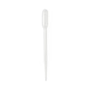 Medline General Transfer Pipettes