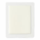 Medline Bordered Super Absorbent Wound Dressing